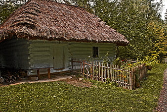 Rustic Thatched Roof Wooden Cottage In Countryside