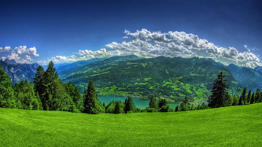 Vibrant Alpine Landscape With Green Meadow, Lake, And Mountains