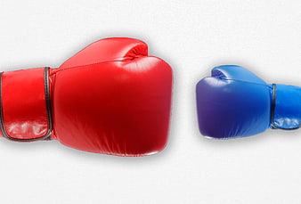 Red and Blue Boxing Gloves on White Background