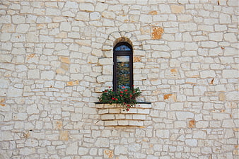 Arched window with red flowers on white stone wall