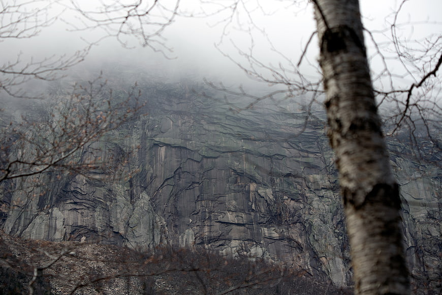Misty mountain cliff face framed by bare birch tree branches