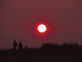 Silhouette of couple walking at sunset