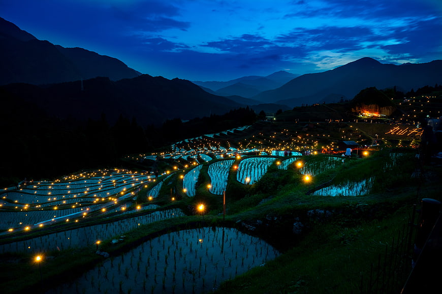 Illuminated Rice Terraces at Night in Japan