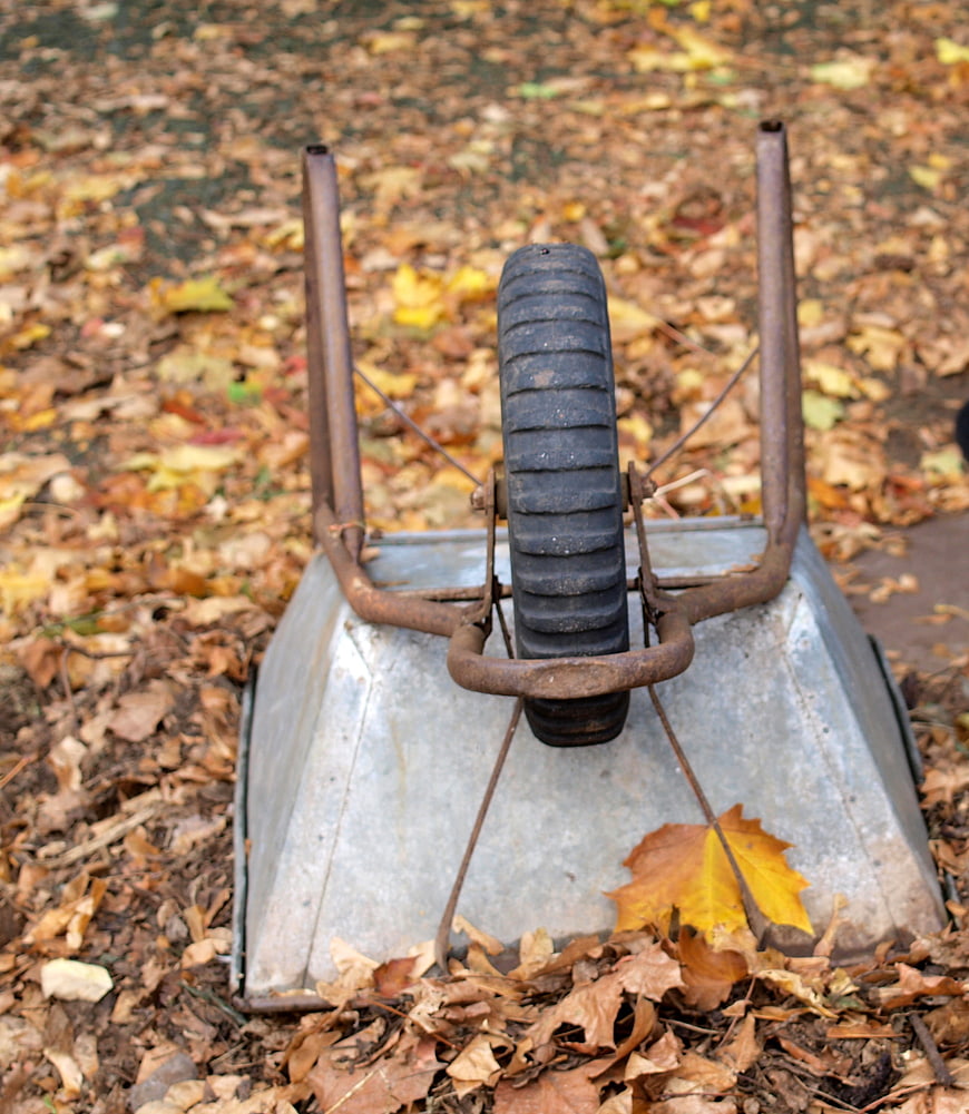 Rusty Wheelbarrow in Autumn Leaves
