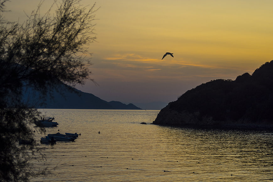 Silhouette of boats in a bay at sunset with flying bird