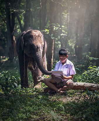 Young boy reading book with elephant in forest