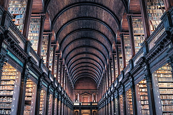 Grand Arched Library Hall with Tall Bookshelves