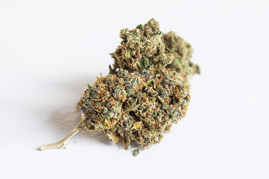Dried cannabis buds isolated on white background