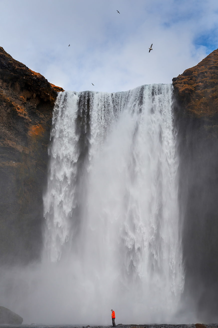 Skogafoss Waterfall Iceland with Person and Birds