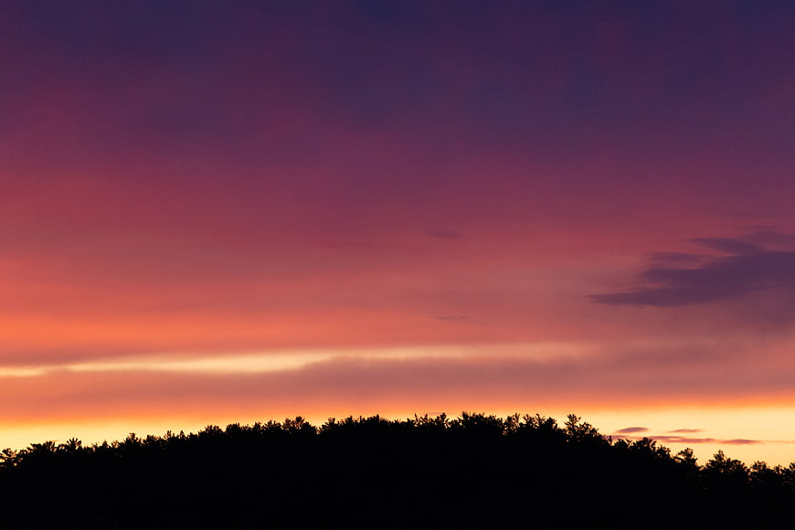 Vibrant Sunset Sky with Silhouetted Forest Trees
