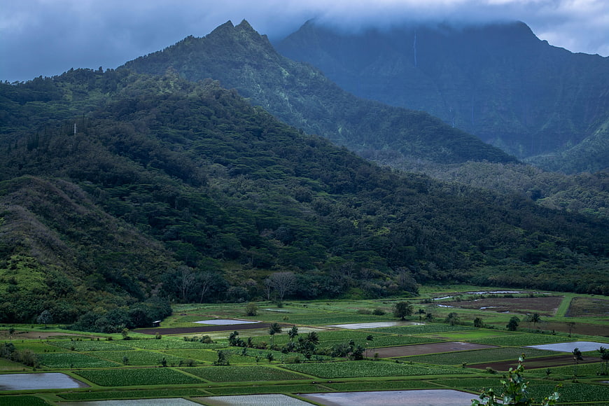 Lush Green Rice Terraces with Misty Mountain Background