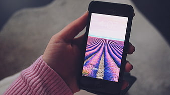 Hand holding smartphone with lavender field wallpaper