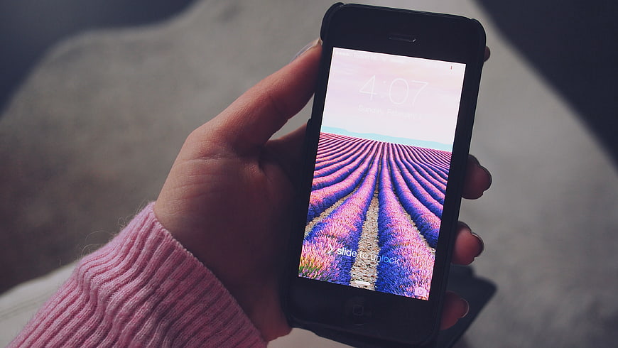 Hand holding smartphone with lavender field wallpaper