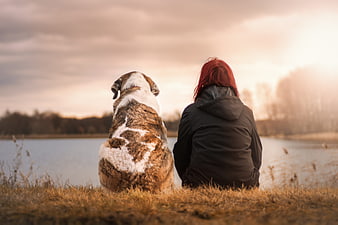 Woman and Dog Sitting by Lake at Sunset