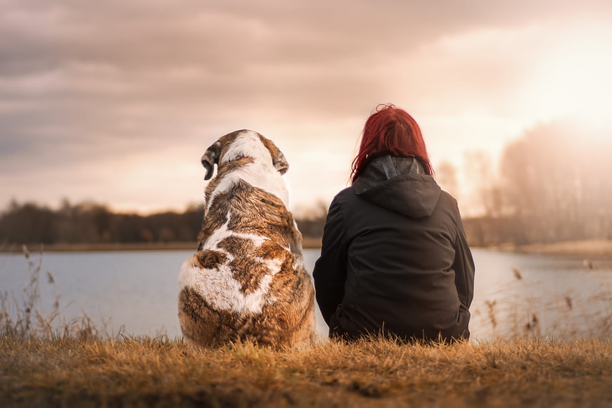 Woman and Dog Sitting by Lake at Sunset