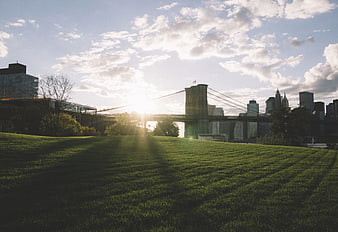Brooklyn Bridge Sunrise Over Green Park Lawn