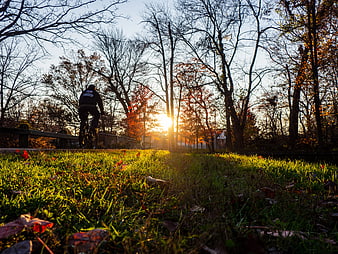 Cyclist Riding on Path During Golden Hour Autumn Sunset