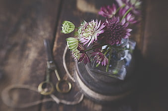 Rustic purple flowers in glass vase with vintage scissors