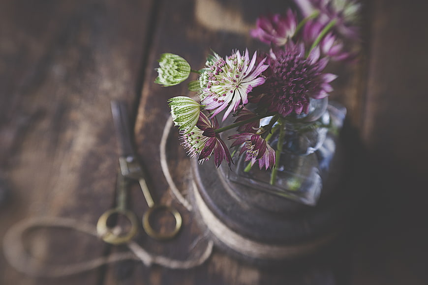 Rustic purple flowers in glass vase with vintage scissors