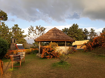 Thatched Gazebo in Garden with Orange Flowers