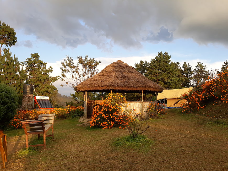 Thatched Gazebo in Garden with Orange Flowers