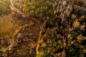 Aerial View of Winding River Through Autumn Forest