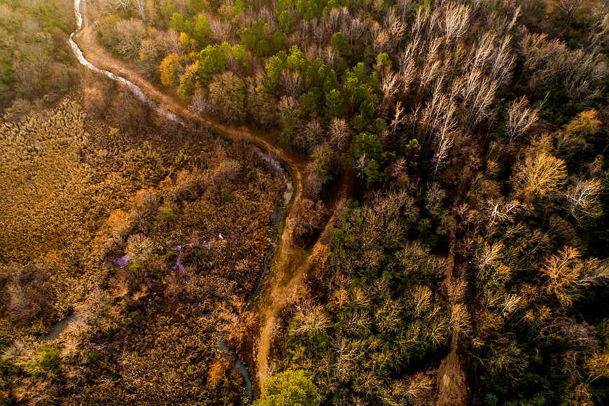 Aerial View of Winding River Through Autumn Forest
