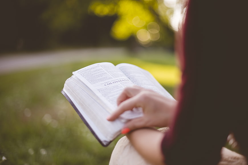 Woman reading an open book outdoors in a park
