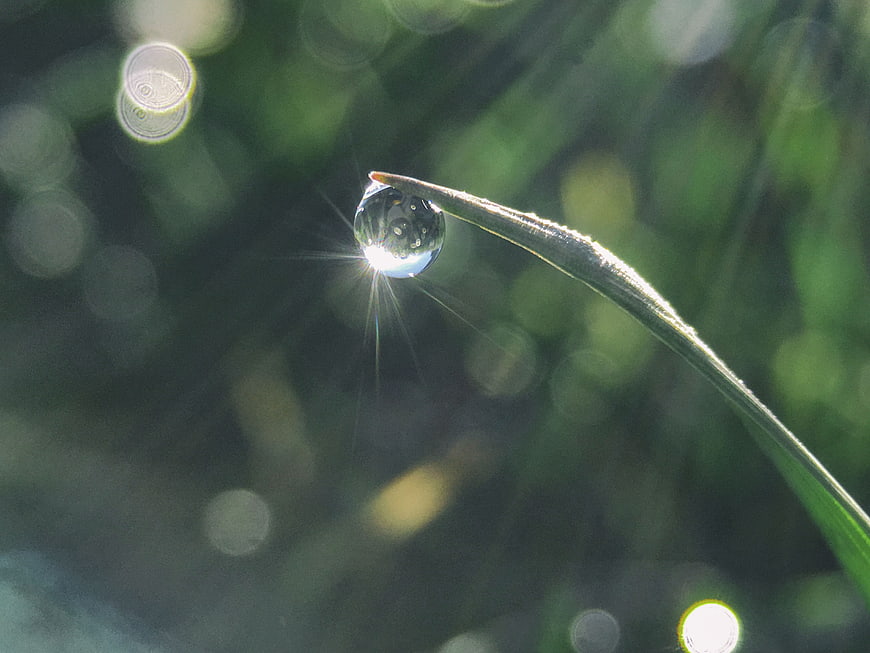 Macro shot of dew drop on grass blade with bokeh