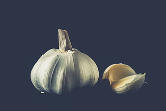 Whole garlic bulb and cloves on dark blue background