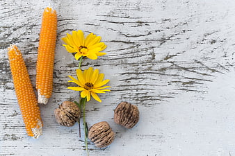 Rustic Harvest Flat Lay with Corn, Walnuts, and Yellow Flowers