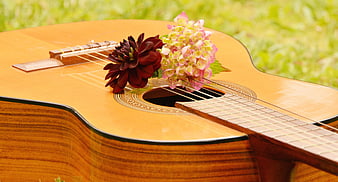 Acoustic Guitar with Flowers on Green Grass