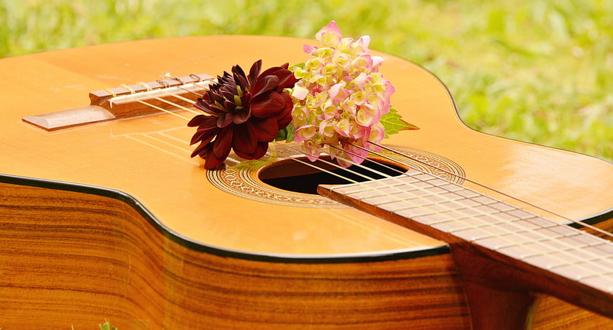 Acoustic Guitar with Flowers on Green Grass
