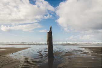 Weathered Wooden Post Standing on Wet Sandy Beach