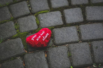 Red heart with 'you are not alone' on cobblestones