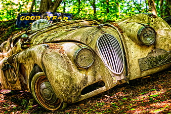 Rusted Vintage Jaguar Race Car Abandoned In Forest