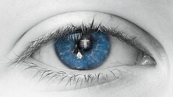 Close-up of blue eye with cross reflection in pupil