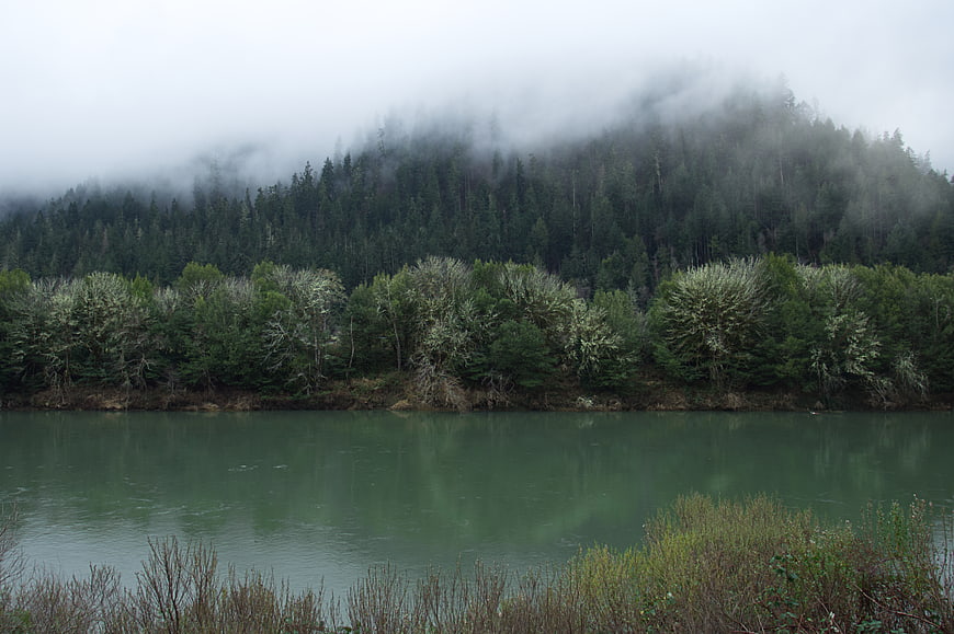 Misty forest landscape with calm green lake and foggy mountains