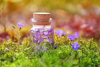Glass bottle with purple flowers and cork stopper on green moss