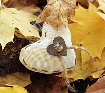 Rustic fabric heart with wooden tag on autumn leaves