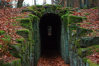Moss-covered stone bunker entrance in autumn forest