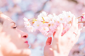 Woman Smelling Pink Cherry Blossoms in Spring