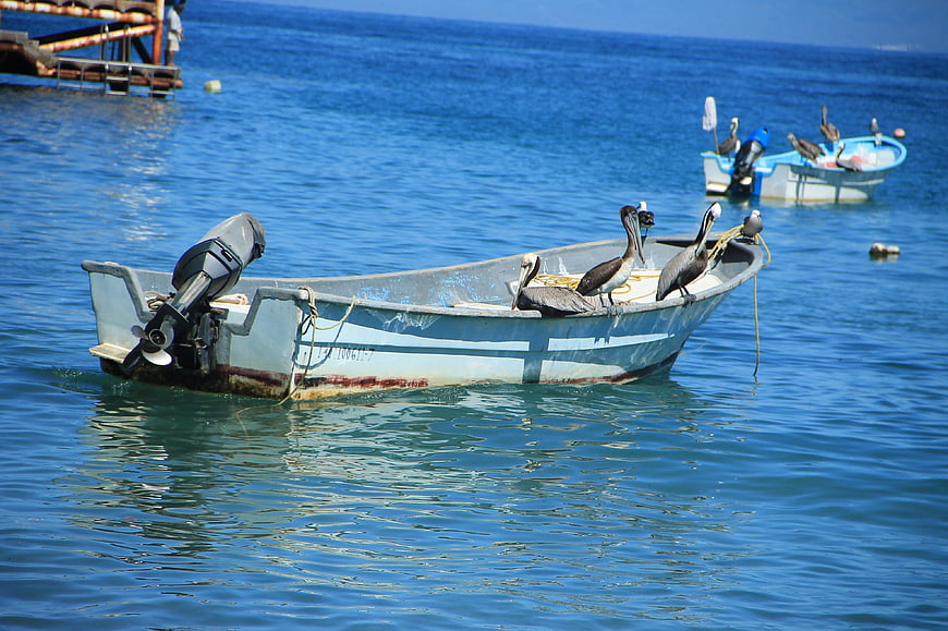 Pelicans resting on a small fishing boat in blue water