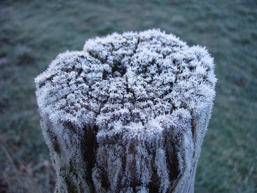 Close-up of frost-covered wooden post in winter morning