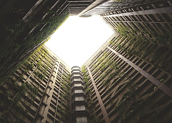 Low angle view of brutalist concrete architecture with vines