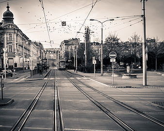 Black and white city street with tram tracks and birds