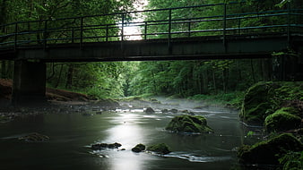 Misty River Under Bridge in Lush Green Forest