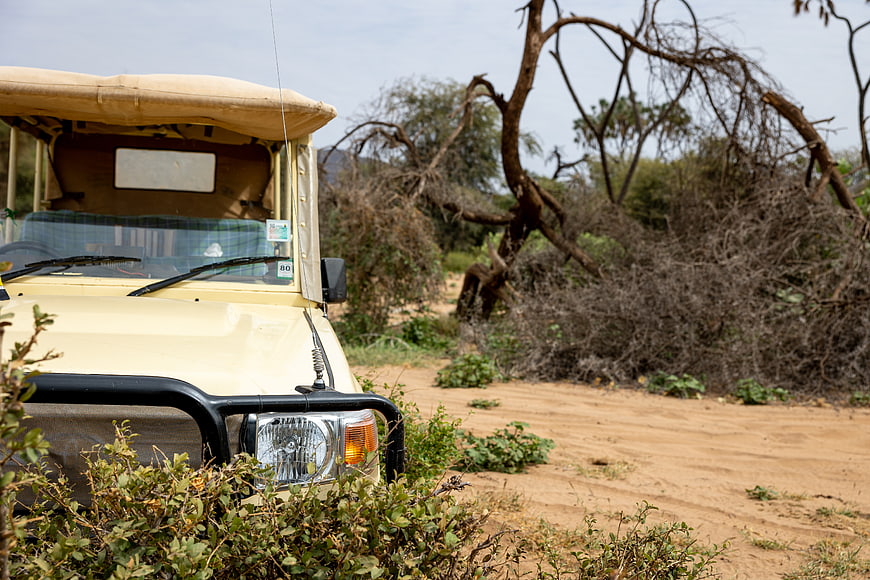 Beige Safari Jeep on Dirt Road in African Bush
