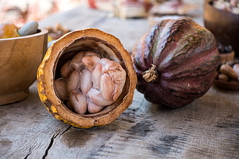 Fresh Cacao Pod with White Beans on Rustic Wood