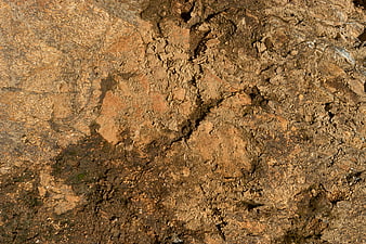 Close-up texture of weathered brown dirt and rock surface